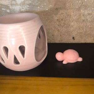Fondant - cire - tortue - pêche