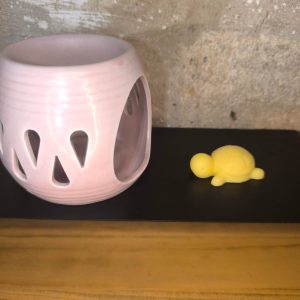 fondant - cire - tortue - pop corn